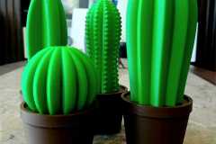 CactusDeco